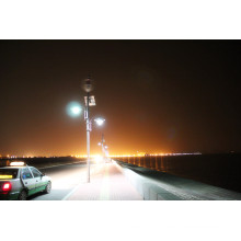 Wsbr149 80W Solar/Wind Hybrid LED Street Solar Light